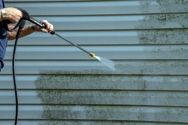 Best Pre-Holiday Cleaning  in Alliae, NC